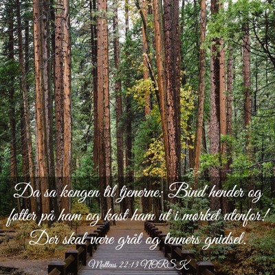 Picture 03 - Matteus 22:13 NORSK - Da sa kongen til tjenerne: Bind hender og føtter - Bible Verse Picture