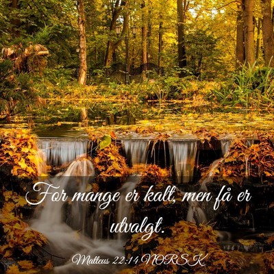 Picture 03 - Matteus 22:14 NORSK - For mange er kalt, men få er - Bible Verse Picture
