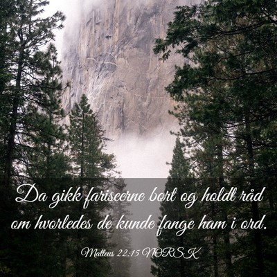 Picture 03 - Matteus 22:15 NORSK - Da gikk fariseerne bort og holdt råd om - Bible Verse Picture