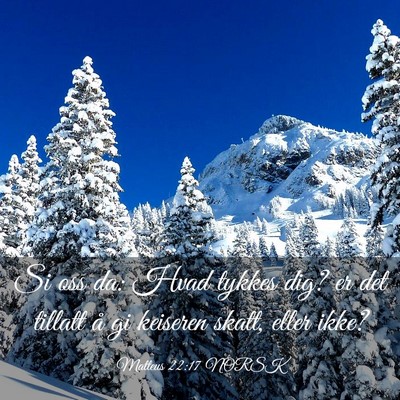 Picture 03 - Matteus 22:17 NORSK - Si oss da: Hvad tykkes dig? er det tillatt å gi - Bible Verse Picture