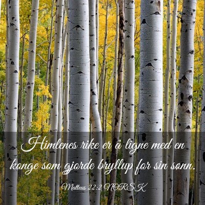 Picture 03 - Matteus 22:2 NORSK - Himlenes rike er å ligne med en konge som gjorde - Bible Verse Picture