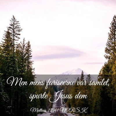 Picture 03 - Matteus 22:41 NORSK - Men mens fariseerne var samlet, spurte Jesus - Bible Verse Picture
