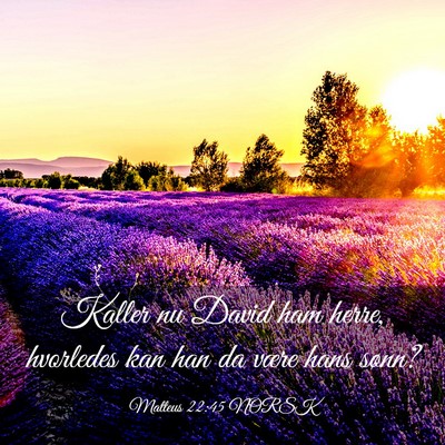 Picture 03 - Matteus 22:45 NORSK - Kaller nu David ham herre, hvorledes kan han da - Bible Verse Picture