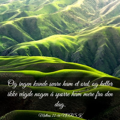 Picture 03 - Matteus 22:46 NORSK - Og ingen kunde svare ham et ord, og heller ikke - Bible Verse Picture
