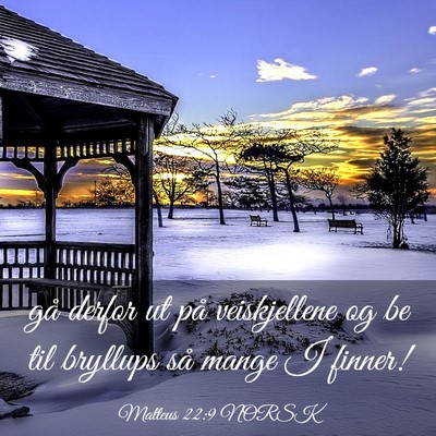 Picture 03 - Matteus 22:9 NORSK - gå derfor ut på veiskjellene og be til bryllups - Bible Verse Picture