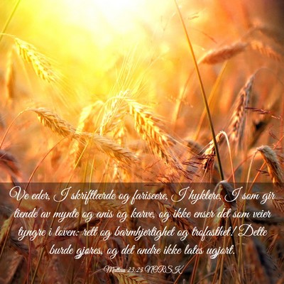 Picture 03 - Matteus 23:23 NORSK - Ve eder, I skriftlærde og fariseere, I hyklere, - Bible Verse Picture