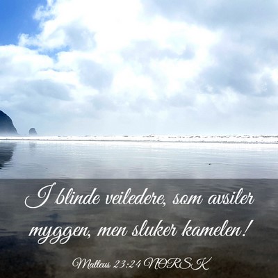 Picture 03 - Matteus 23:24 NORSK - I blinde veiledere, som avsiler myggen, men - Bible Verse Picture