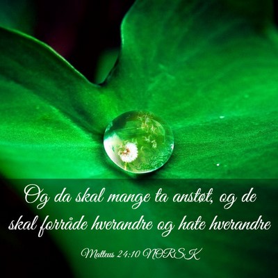 Picture 03 - Matteus 24:10 NORSK - Og da skal mange ta anstøt, og de skal forråde - Bible Verse Picture