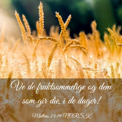 Picture 03 - Matteus 24:19 NORSK - Ve de fruktsommelige og dem som gir die, i de - Bible Verse Picture