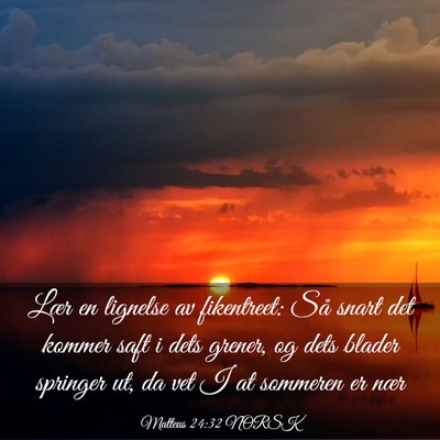 Picture 03 - Matteus 24:32 NORSK - Lær en lignelse av fikentreet: Så snart det - Bible Verse Picture
