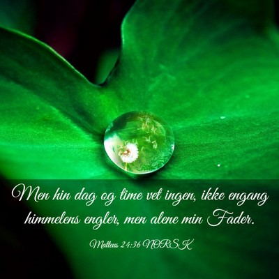 Picture 03 - Matteus 24:36 NORSK - Men hin dag og time vet ingen, ikke engang - Bible Verse Picture