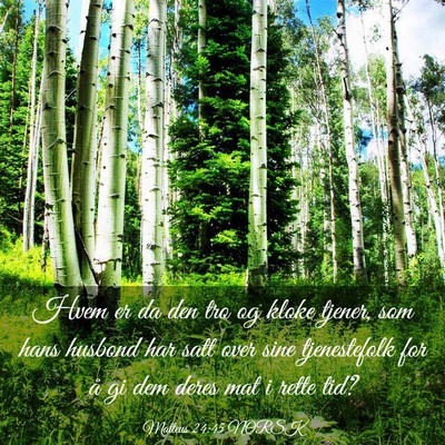 Picture 03 - Matteus 24:45 NORSK - Hvem er da den tro og kloke tjener, som hans - Bible Verse Picture