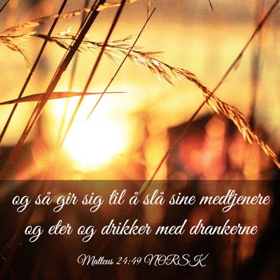 Picture 03 - Matteus 24:49 NORSK - og så gir sig til å slå sine medtjenere og - Bible Verse Picture