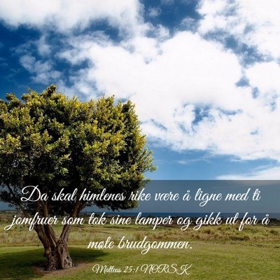 Picture 03 - Matteus 25:1 NORSK - Da skal himlenes rike være å ligne med ti - Bible Verse Picture