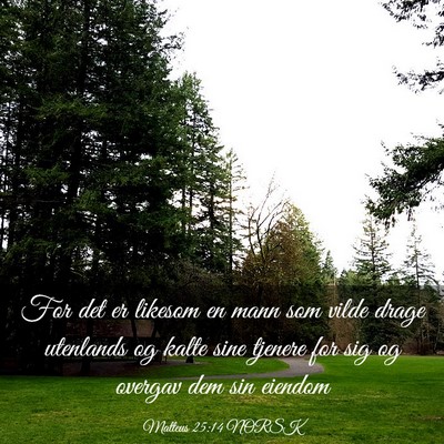 Picture 03 - Matteus 25:14 NORSK - For det er likesom en mann som vilde drage - Bible Verse Picture