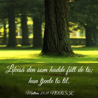 Picture 03 - Matteus 25:17 NORSK - Likeså den som hadde fått de to; han tjente to - Bible Verse Picture