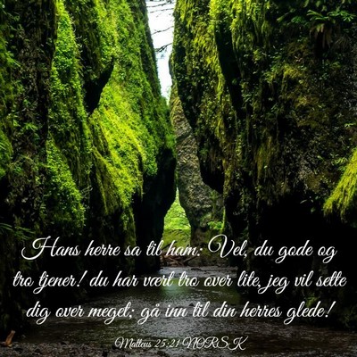 Picture 03 - Matteus 25:21 NORSK - Hans herre sa til ham: Vel, du gode og tro - Bible Verse Picture