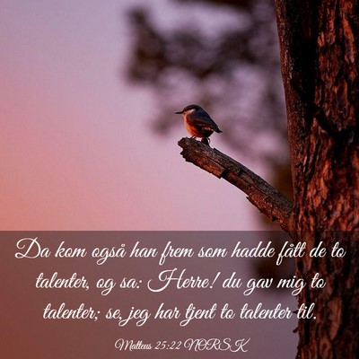 Picture 03 - Matteus 25:22 NORSK - Da kom også han frem som hadde fått de to - Bible Verse Picture