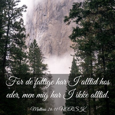 Picture 03 - Matteus 26:11 NORSK - For de fattige har I alltid hos eder, men mig har - Bible Verse Picture