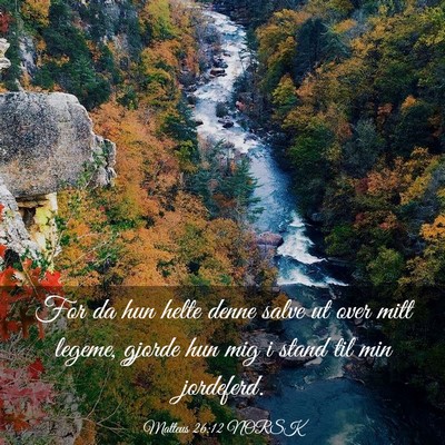 Picture 03 - Matteus 26:12 NORSK - For da hun helte denne salve ut over mitt legeme, - Bible Verse Picture