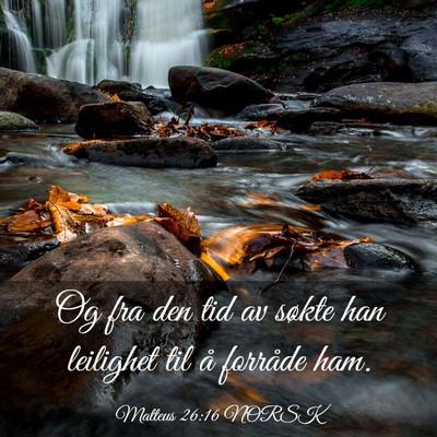 Picture 03 - Matteus 26:16 NORSK - Og fra den tid av søkte han leilighet til å - Bible Verse Picture