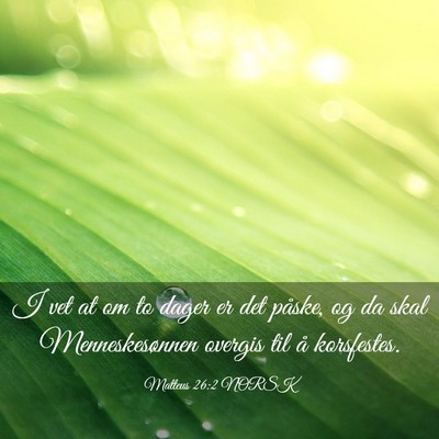 Picture 03 - Matteus 26:2 NORSK - I vet at om to dager er det påske, og da skal - Bible Verse Picture