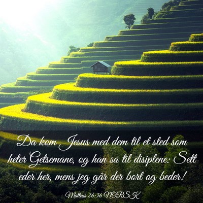 Picture 03 - Matteus 26:36 NORSK - Da kom Jesus med dem til et sted som heter - Bible Verse Picture
