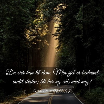 Picture 03 - Matteus 26:38 NORSK - Da sier han til dem: Min sjel er bedrøvet inntil - Bible Verse Picture