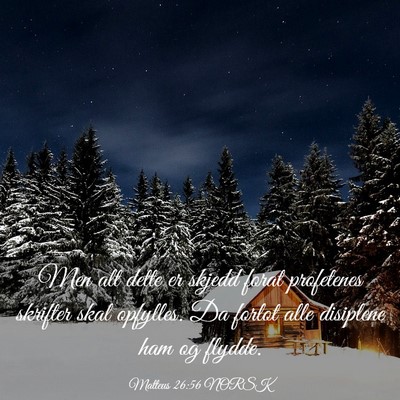 Picture 03 - Matteus 26:56 NORSK - Men alt dette er skjedd forat profetenes skrifter - Bible Verse Picture