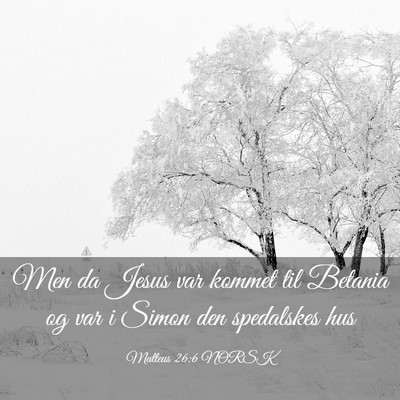Picture 03 - Matteus 26:6 NORSK - Men da Jesus var kommet til Betania og var i - Bible Verse Picture