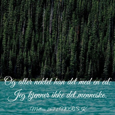 Picture 03 - Matteus 26:72 NORSK - Og atter nektet han det med en ed: Jeg kjenner - Bible Verse Picture