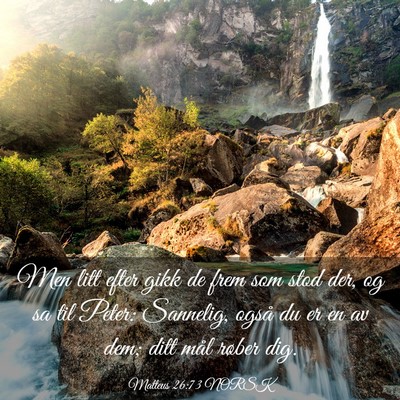 Picture 03 - Matteus 26:73 NORSK - Men litt efter gikk de frem som stod der, og sa - Bible Verse Picture