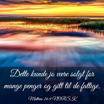 Picture 03 - Matteus 26:9 NORSK - Dette kunde jo være solgt for mange penger og - Bible Verse Picture