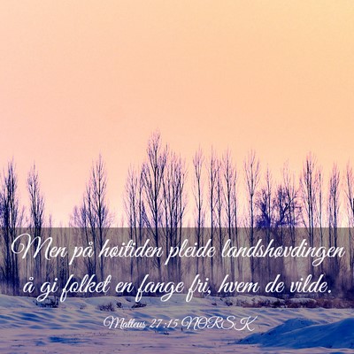Picture 03 - Matteus 27:15 NORSK - Men på høitiden pleide landshøvdingen å gi - Bible Verse Picture