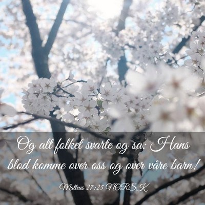 Picture 03 - Matteus 27:25 NORSK - Og alt folket svarte og sa: Hans blod komme over - Bible Verse Picture