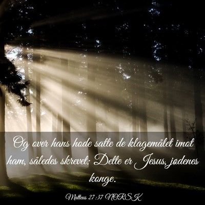 Picture 03 - Matteus 27:37 NORSK - Og over hans hode satte de klagemålet imot ham, - Bible Verse Picture