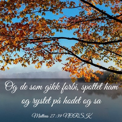 Picture 03 - Matteus 27:39 NORSK - Og de som gikk forbi, spottet ham og rystet på - Bible Verse Picture