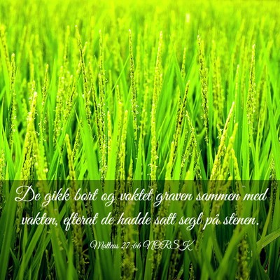 Picture 03 - Matteus 27:66 NORSK - De gikk bort og voktet graven sammen med vakten, - Bible Verse Picture