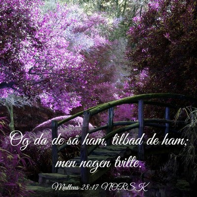Picture 03 - Matteus 28:17 NORSK - Og da de så ham, tilbad de ham; men nogen - Bible Verse Picture