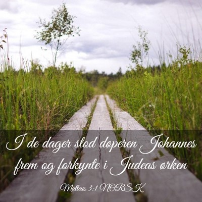 Picture 03 - Matteus 3:1 NORSK - I de dager stod døperen Johannes frem og - Bible Verse Picture
