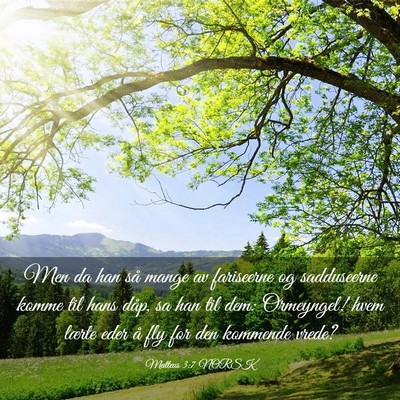 Picture 03 - Matteus 3:7 NORSK - Men da han så mange av fariseerne og sadduseerne - Bible Verse Picture