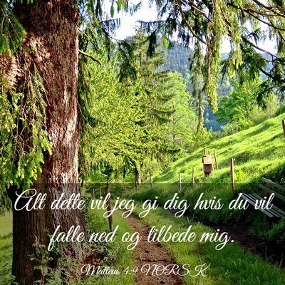Picture 03 - Matteus 4:9 NORSK - Alt dette vil jeg gi dig hvis du vil falle ned og - Bible Verse Picture