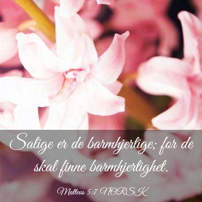 Picture 03 - Matteus 5:7 NORSK - Salige er de barmhjertige; for de skal finne - Bible Verse Picture
