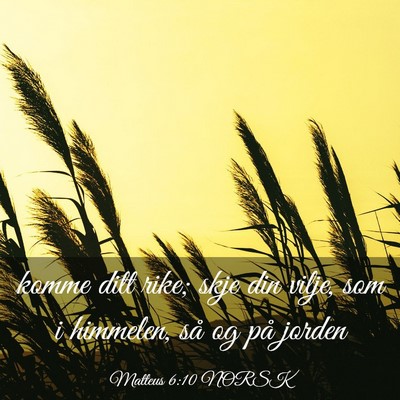 Picture 03 - Matteus 6:10 NORSK - komme ditt rike; skje din vilje, som i himmelen, - Bible Verse Picture