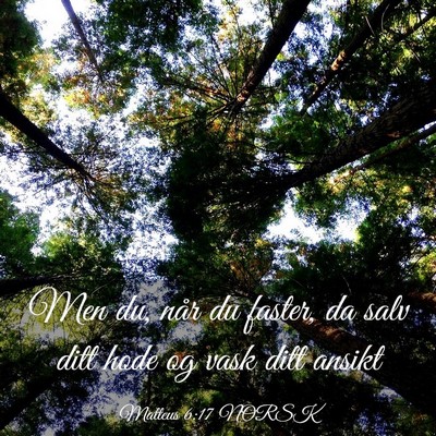 Picture 03 - Matteus 6:17 NORSK - Men du, når du faster, da salv ditt hode og vask - Bible Verse Picture