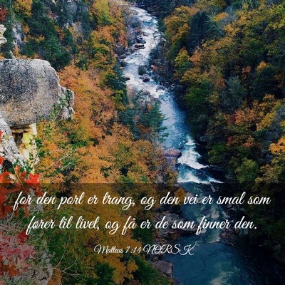 Picture 03 - Matteus 7:14 NORSK - for den port er trang, og den vei er smal som - Bible Verse Picture