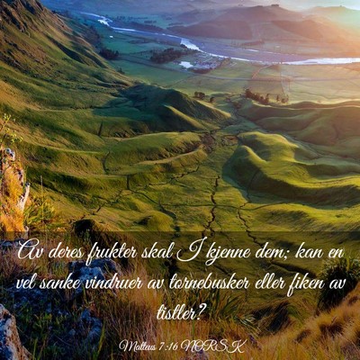 Picture 03 - Matteus 7:16 NORSK - Av deres frukter skal I kjenne dem; kan en vel - Bible Verse Picture