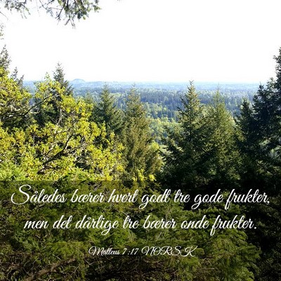 Picture 03 - Matteus 7:17 NORSK - Således bærer hvert godt tre gode frukter, men - Bible Verse Picture