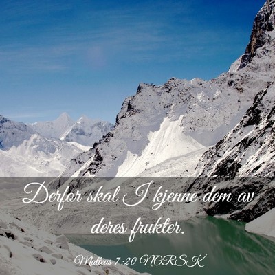 Picture 03 - Matteus 7:20 NORSK - Derfor skal I kjenne dem av deres - Bible Verse Picture