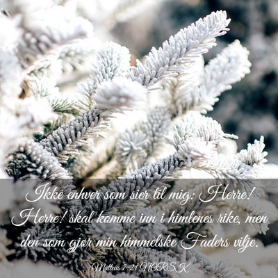 Picture 03 - Matteus 7:21 NORSK - Ikke enhver som sier til mig: Herre! Herre! skal - Bible Verse Picture